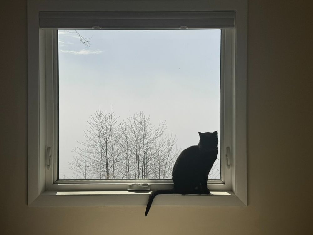 My black cat is sitting on the windowsill facing southeast. There is no horizon because of dense fog. The fog is lifting and the sky is turning blue. May 3, 2025