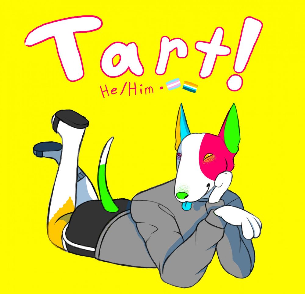A digital drawing of an anthropomorphic bull terrier. He lies on his stomack with his legs kicking behind him, holding up his weight on his elbows with one paw supporting his head and the other paw limp wristed. His fur is multicolored, with the majority being white but with half being a vibrant hot pink with neon green inside the ear, his right ear light blue with orange on the inside, orange fur tapering down from his visible thigh and green fur on all but the white tip of his tail. He has a neon green nose and playfully sticks out his light blue tongue. He has heterochromia with a hot pink right eye and orange left eye. He's dressed in a plain grey sweatshirt, black workout shorts, black slides and a singular grey sock on his left foot.
Above him, there is text reading:
"Tart" with an exclamation point, "He/Him", and two small pride flags, the trans pride flag and the aroace pride flag.