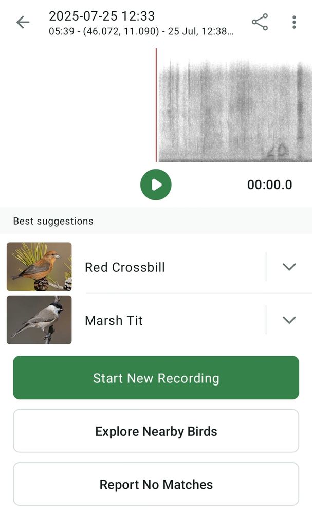 Screenshot of the Merlin app which lists Red Crossbill and Marsh Tit as audible