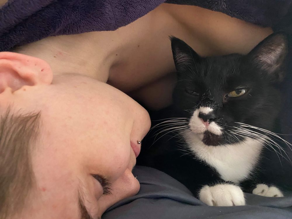 the author and their poised yet comfortable tuxedo cat, wrapped up together under a blanket 