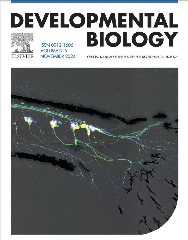 The cover of a scientific journal called Developmental Biology. The background is white with black letters. In the centers, the picture of a zebrafish tail with pigment cells (black spots) and sensory neurons fluorescently labeled appear in different colors