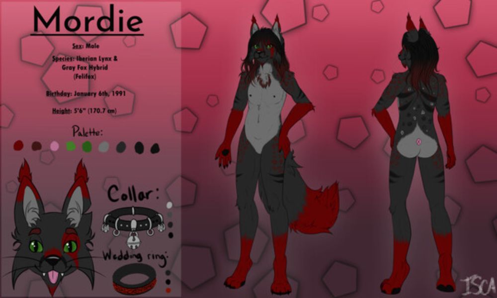 Mordie Ranathar - Ref Sheet by mordie1001