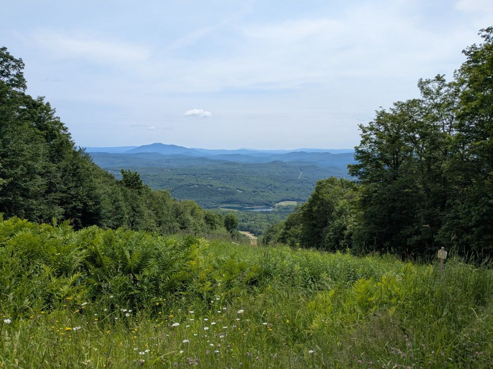 View from a meadow on Okemo Mountain looking down, with vegetation all the way to the horizon. 
