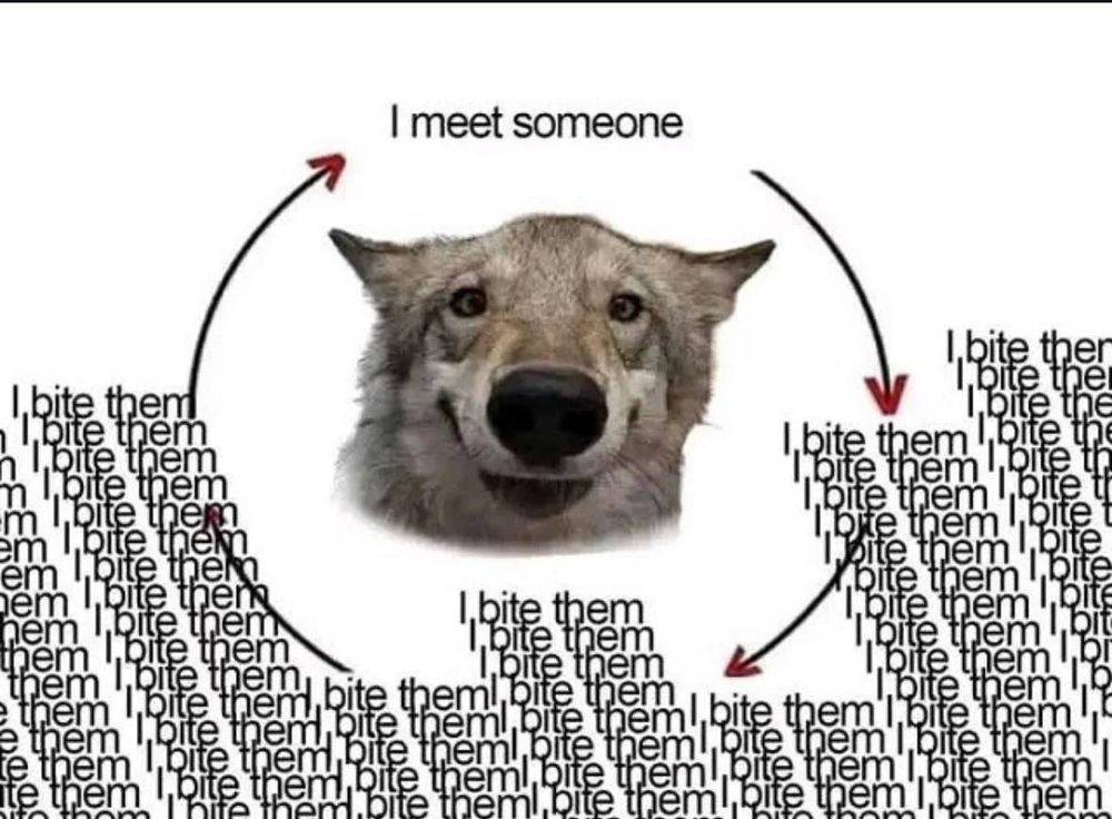 Comment image