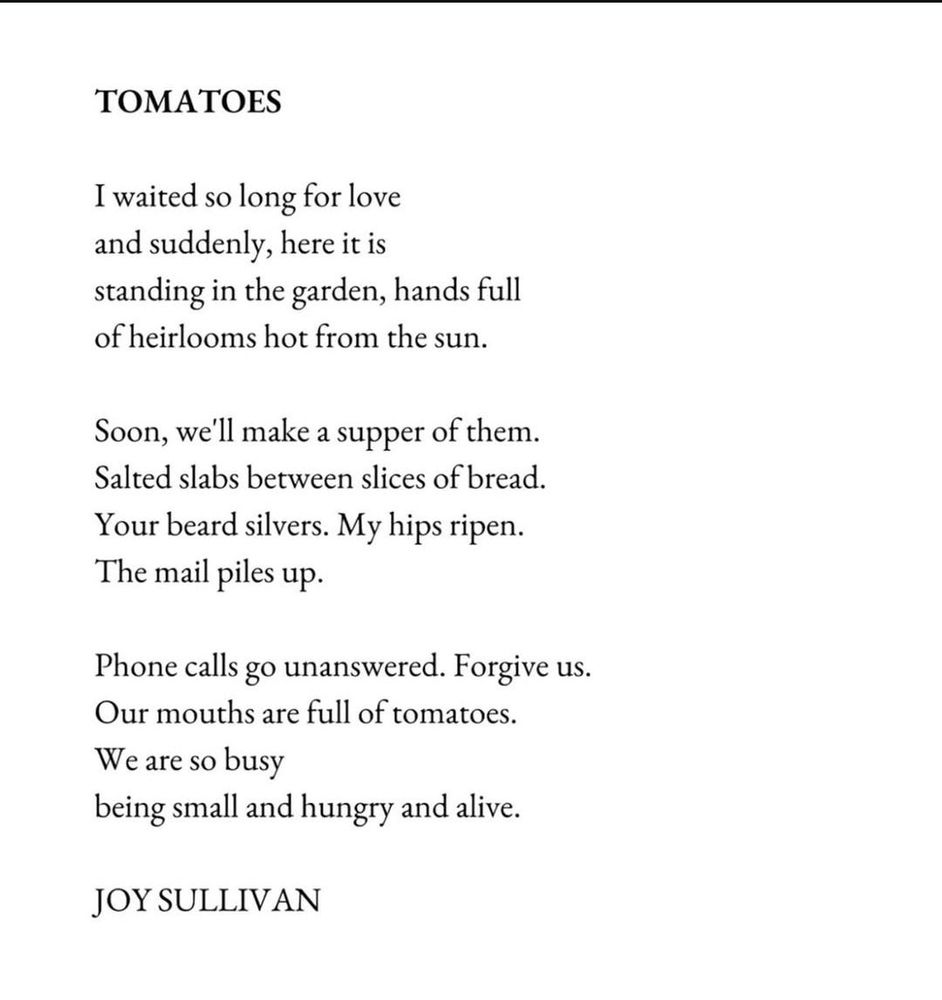 Tomatoes

I waited so long for love
and suddenly, here it is
standing in the garden, hands full
of heirlooms hot from the sun.

Soon, we'll make a supper of them.
Salted slabs between slices of bread.
Your beard silvers. My hips ripen.
The mail piles up.

Phone calls go unanswered. Forgive us.
Our mouths are full of tomatoes.
We are so busy
being small and hungry and alive.

JOY SULLIVAN

