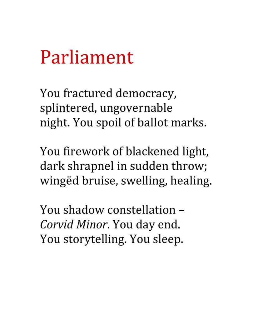 Parliament

You fractured democracy,
splintered, ungovernable
night. You spoil of ballot marks.

You firework of blackened light,
dark shrapnel in sudden throw;
wingëd bruise, swelling, healing.

You shadow constellation –
Corvid Minor. You day end.
You storytelling. You sleep