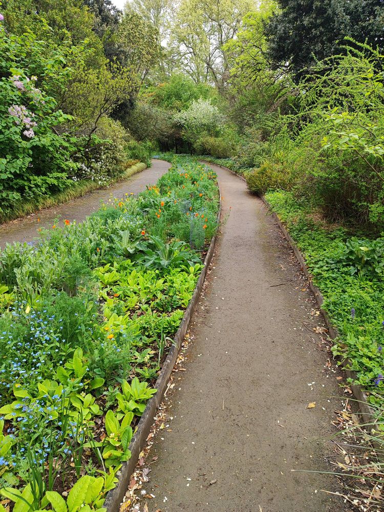 Des terres pleins en massif entre deux chemins.