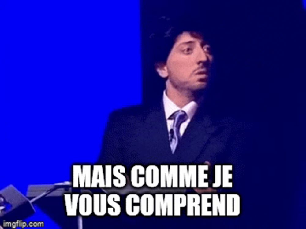 Mais Comme Je Vous Comprend Mais Comme Je Te Comprend GIF