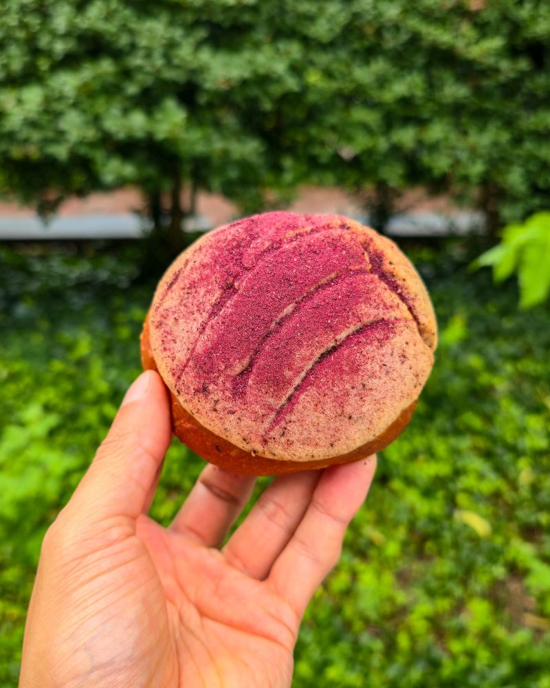 A hand holding up a concha, which is a mexican pastry with purple dust of hibiscus flowers in front of summer foliage