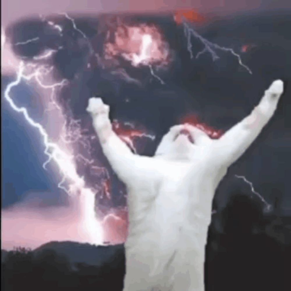 a white cat is standing in front of a lightning storm with its arms outstretched .