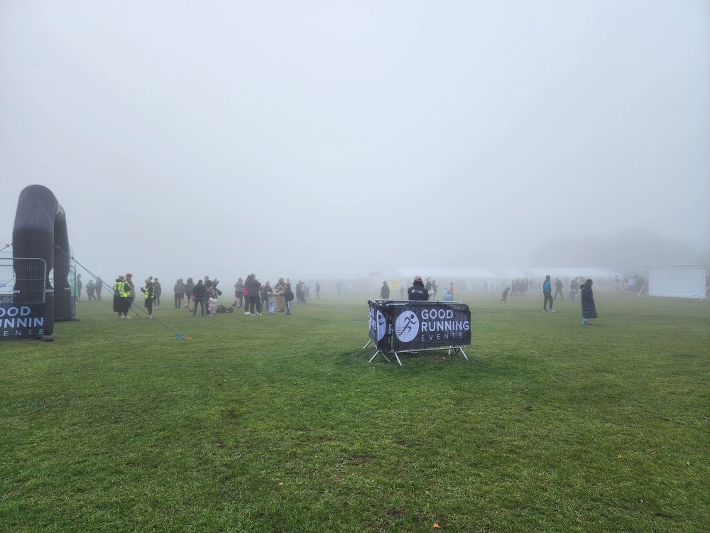 A grass field in the morning mist