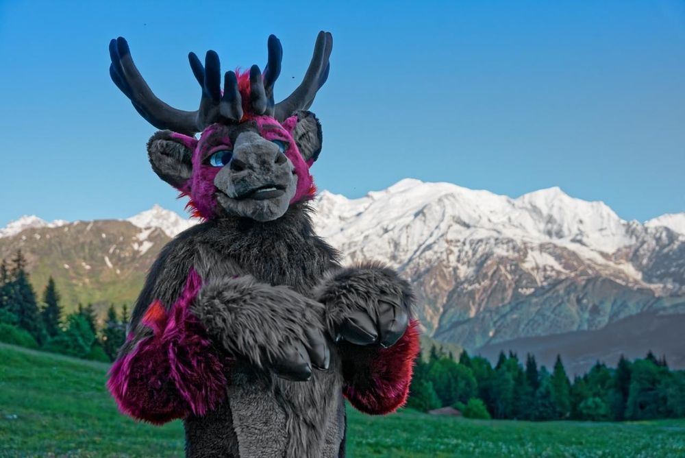 Reyk the Caribou posing in front of the Mont Blanc