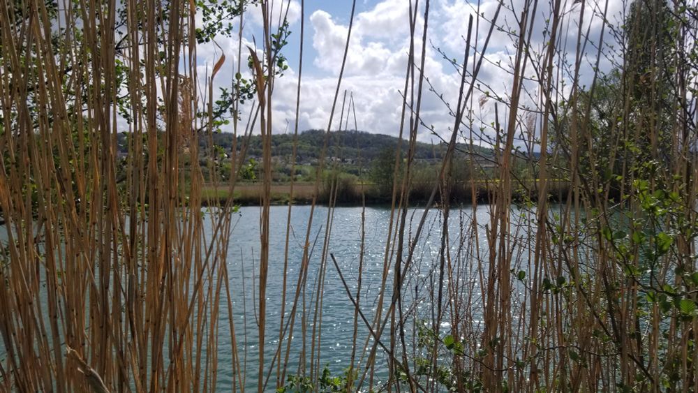 La Marne 