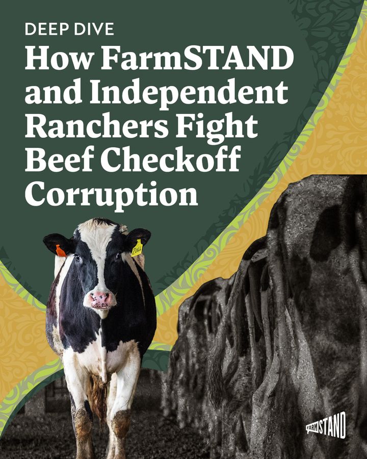 FarmSTAND branded graphic. Text: Deep Dive: How FarmSTAND and Independent Ranchers Fight Beef Checkoff Corruption