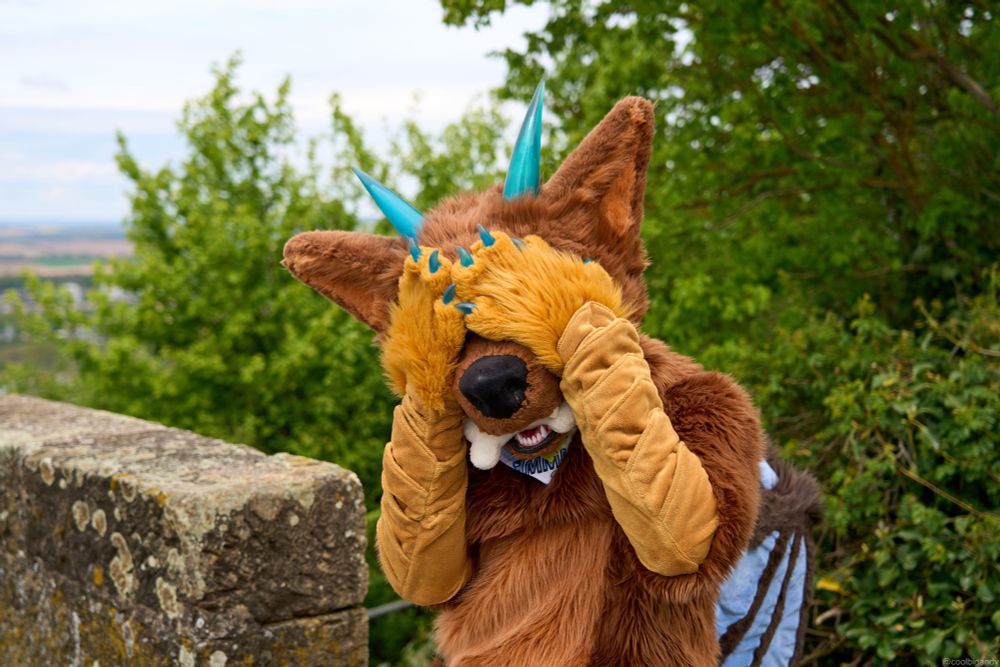 A picture of me in fursuit while being outside in nature. The background shown a green landscape and a little stone wall left next to me. I have my eyes covered with my hands, looking like I'm trying to hide out of shyness