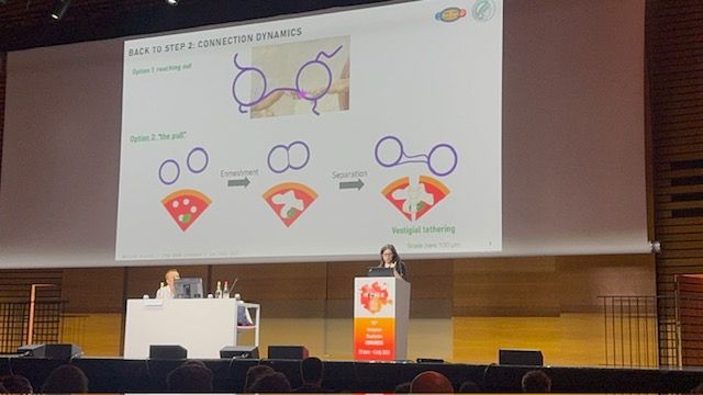 Matilde Accorsi presenting at EBSA 2025; at the top, the screen shows a drawing of two vesicles connecting through a tube overlaid with Michelangelo's "The creation of Adam". On the bottom, a schematic drawing of a pizza with separate pieces of mozzarella, followed by a cooked one with melty mozzarella, and finally the mozzarella strings that result from cutting hot pizza. A parallel is drawn between this and vesicles in the process of fusion.