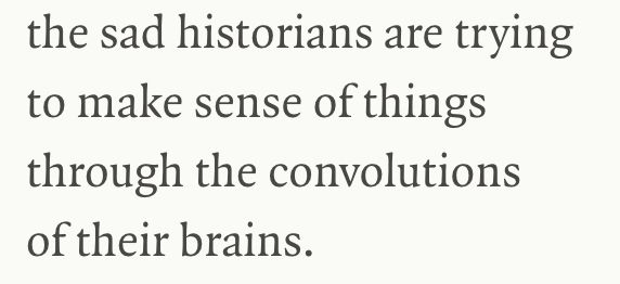 Screenshot of short excerpt from a poem, reading (with line breaks preserved) as follows: 

the sad historians are trying
to make sense of things
through the convolutions
of their brains.