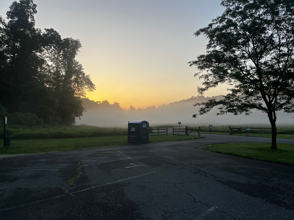 High humidity at sunrise