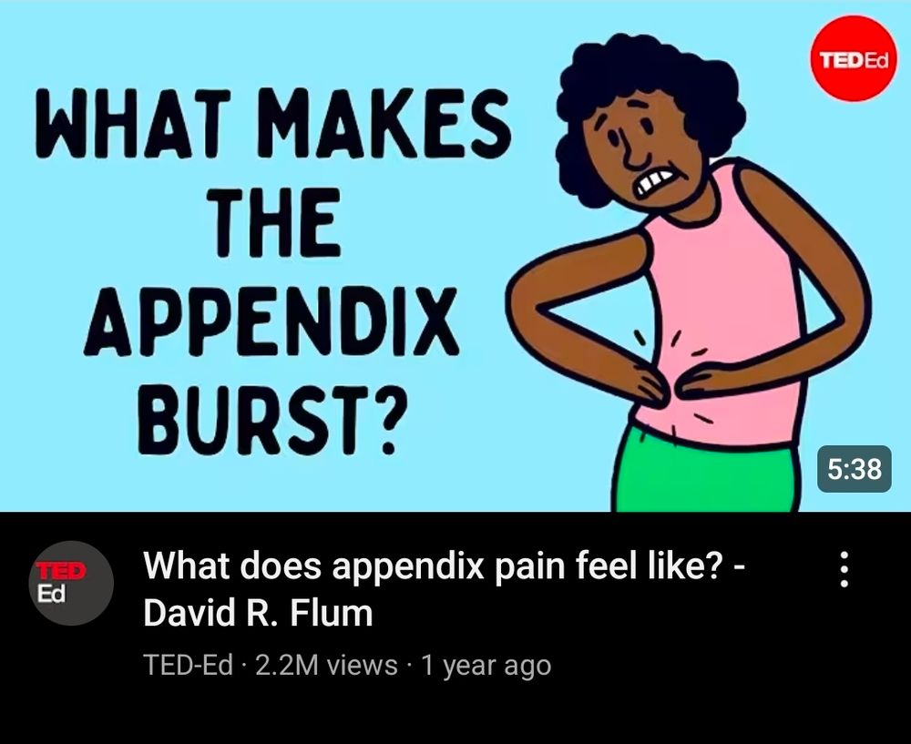 a youtube video from TED-Ed titled "What does appendix pain feel like? - David R. Flum, with the words "What Makes The Appendix Burst?" in the thumbnail