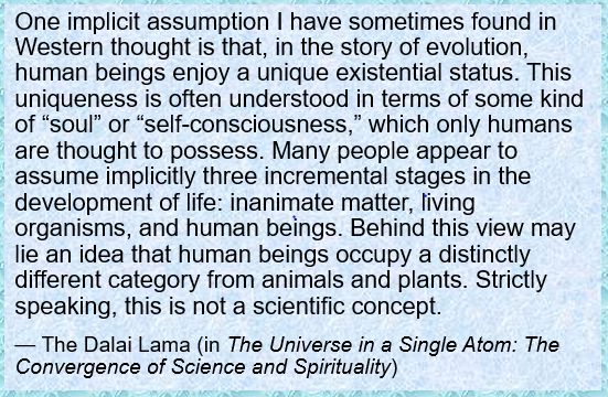 One implicit assumption I have sometimes found in Western thought is that, in the story of evolution, human beings enjoy a unique existential status. This uniqueness is often understood in terms of some kind of “soul” or “self-consciousness,” which only humans are thought to possess. Many people appear to assume implicitly three incremental stages in the development of life: inanimate matter, living organisms, and human beings. Behind this view may lie an idea that human beings occupy a distinctly different category from animals and plants. Strictly speaking, this is not a scientific concept.
— The Dalai Lama (in The Universe in a Single Atom: The Convergence of Science and Spirituality)

