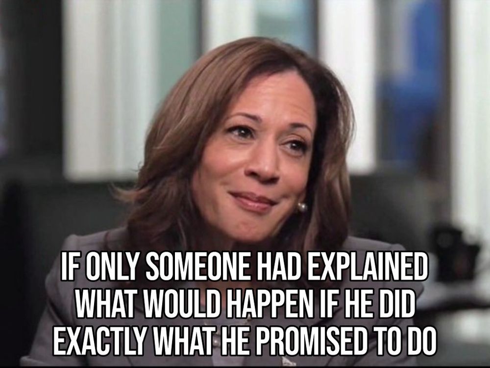 Vice President Kamala Harris smiling knowingly.  Caption reads:  "If only someone had explained what would happen if he did exactly what he promised to do."