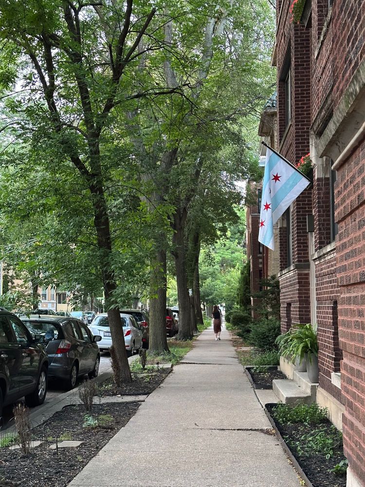 A quiet sidewalk lined with trees on one side, brick buildings on the other. A woman walking in the distance and a Chicago flag mounted on one of the buildings.
