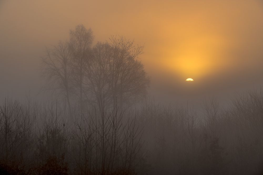 Nebel und aufgehende Sonne 