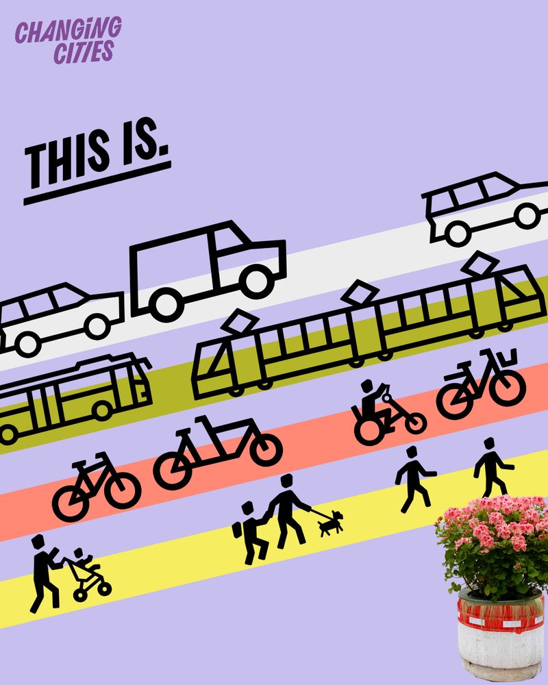 This is. Illustration von 4 bunten Spuren: eine für Autos und LKW, eine für Tram und Bus, eine für Rad und Handbike, eine für Kinder, Erwachsene und Haustiere zu Fuß.