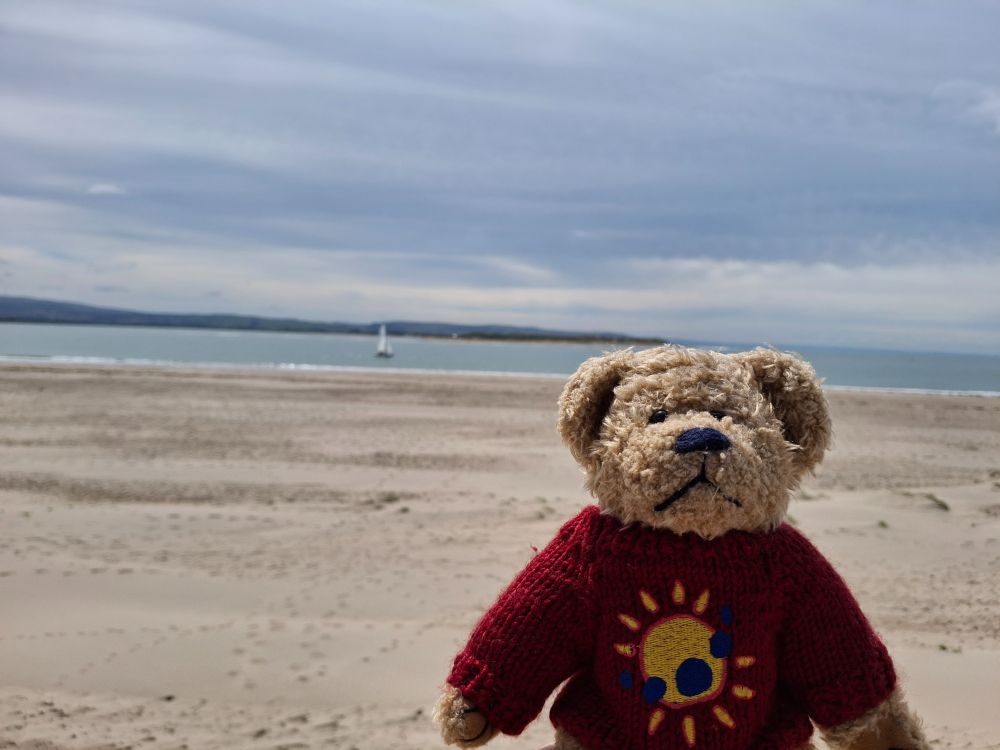 Jimbob bear at the beach. He is wearing a jumper with a sunshine motif on the front. The sea is behind him and there is a small boat with a sail on the sea in the distance.
