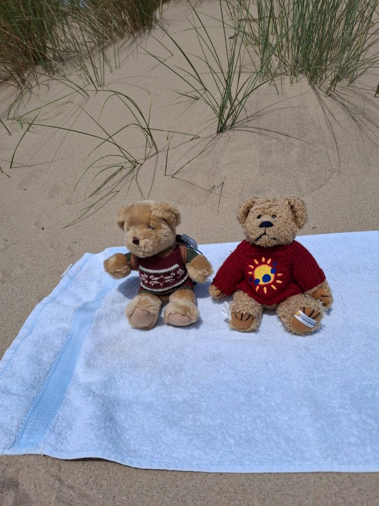 Two bears Noah and Jimbob sitting on a towel on a golden sandy beach.