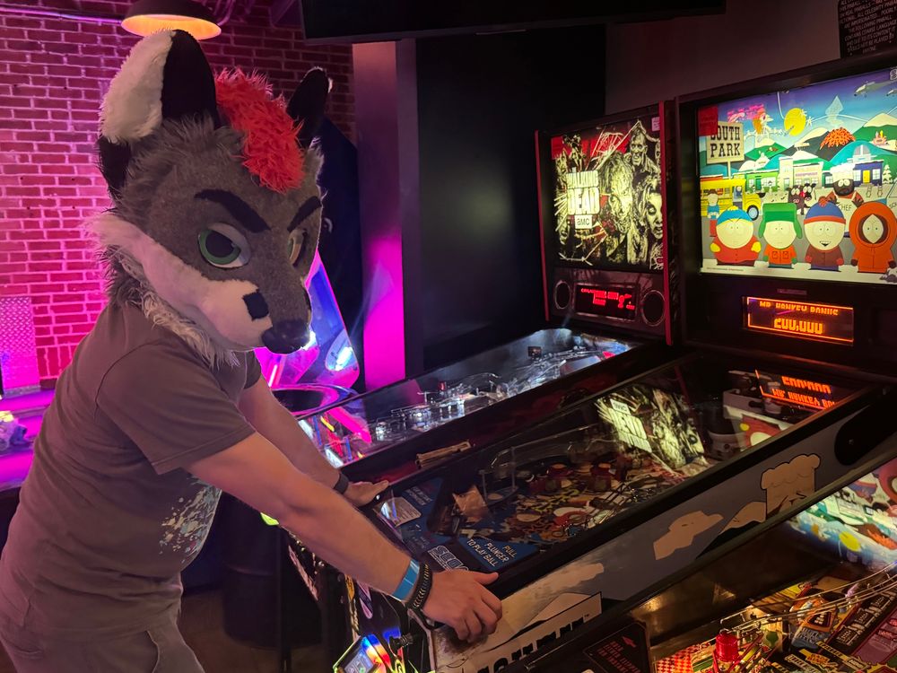 Picture of a fox playing the South Park pinball table looking back at the camera.