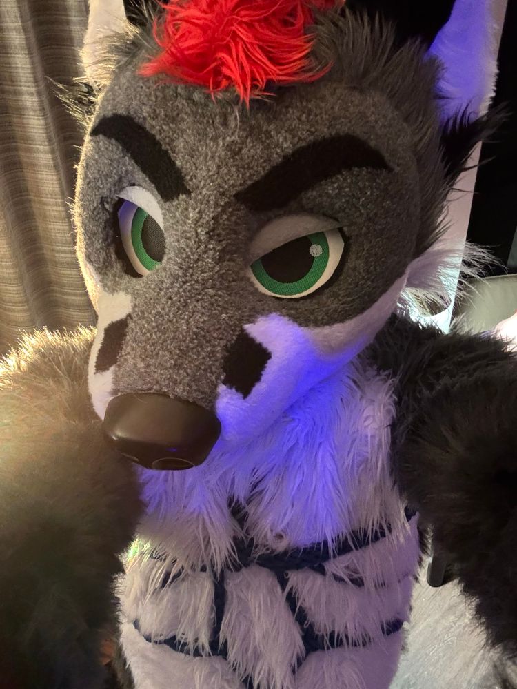 Selfie of a fox fursuiter with bondage ropes over the chest fur