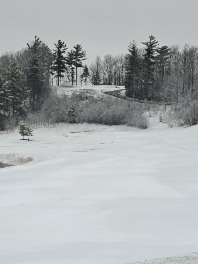 Snow covers the land. A pond is barely visible in the bottom left corner. A path leads down the slope. Spruce trees mixed in with leadless deciduous trees accompanied by shrubs, are all covered in frost.