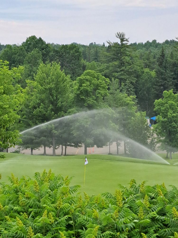 Two water sprinklers, one facing left, the other right, are watering the lush green grass on a golf course. In the background is a stand of mature pine trees.