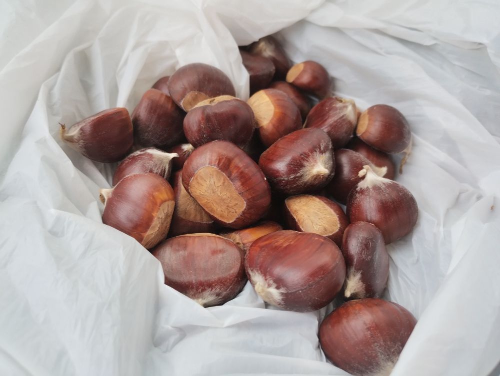 gesammelte Maronen in einer Tüte