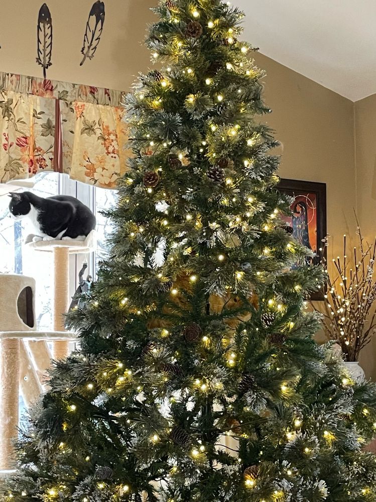 Christmas tree with orange cat climbing half way up. 