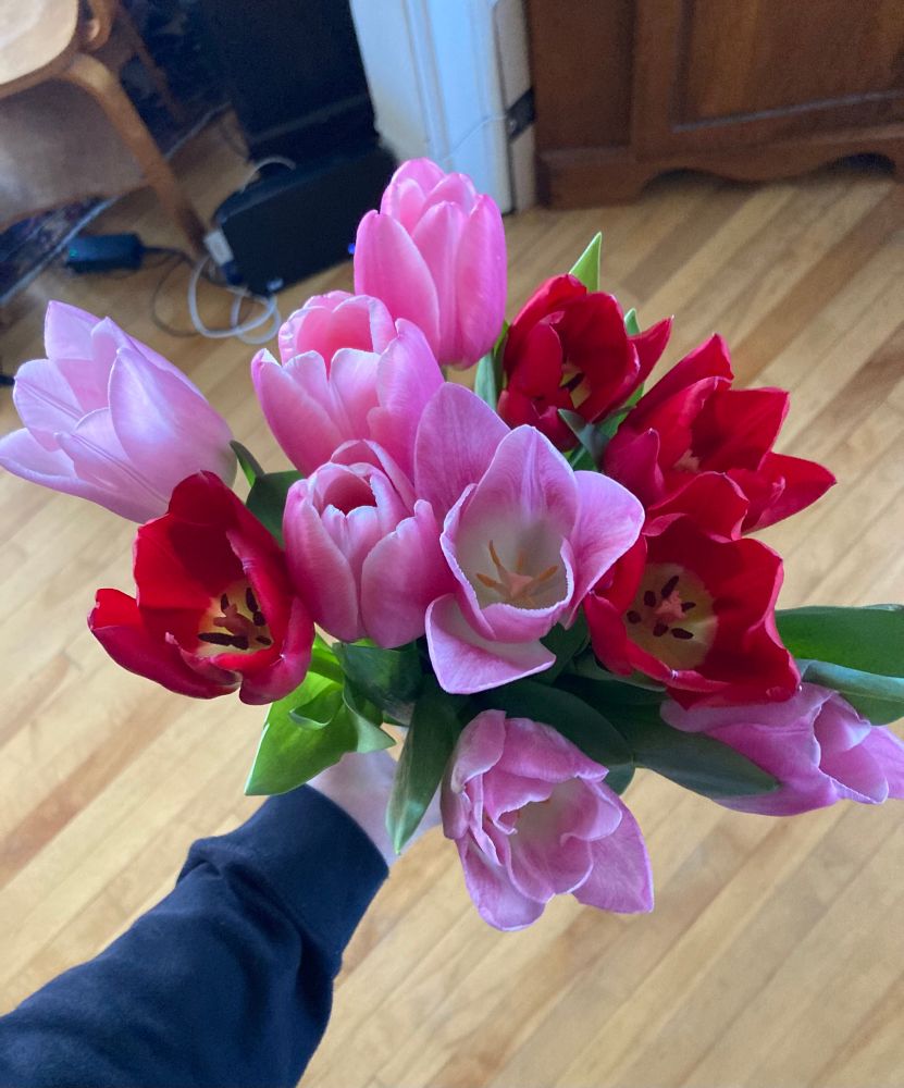 a bouquet of pink and red tulips with a light hardwood floor background 