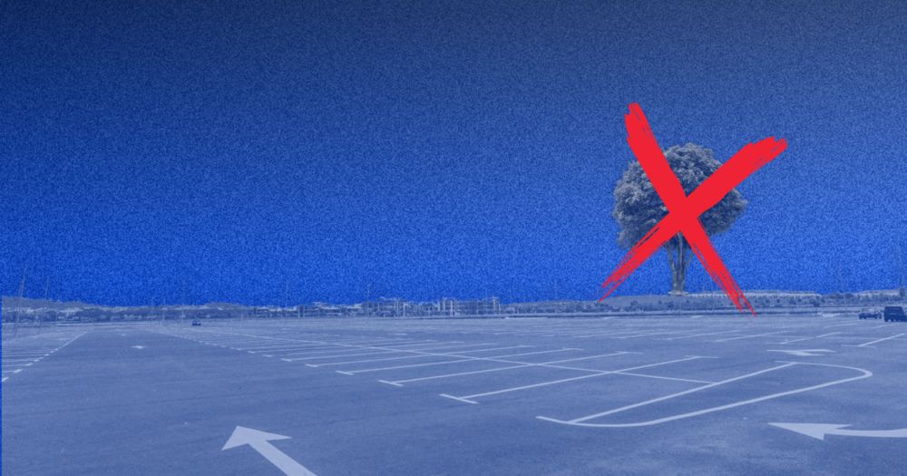 Versiegelte Parkplätze heizen die Städte auf. Bäume könnten dem entgegenwirken. Doch unsere Datenrecherche zeigt: Städte kümmern sich kaum darum – obwohl sie es könnten.
