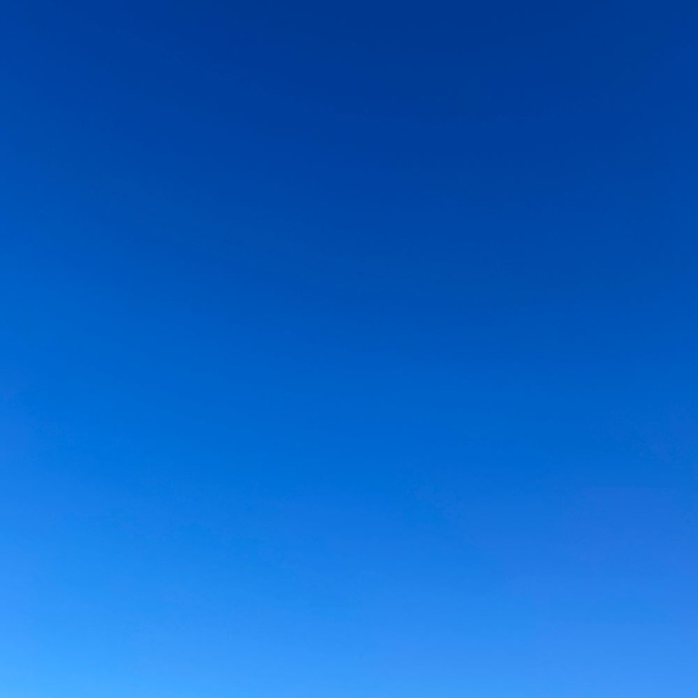 2025年11月22日9時59分の空。くっきりとした青。