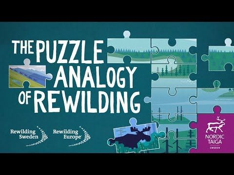 The Puzzle Analogy of Rewilding