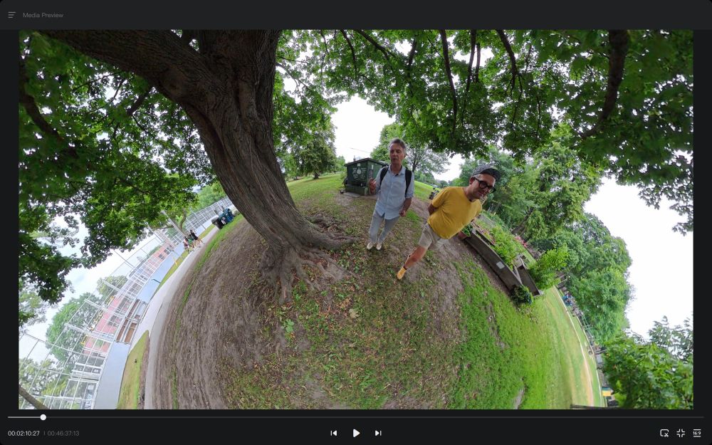 A wide angle view of Mark Wihak and Shawn Micallef in Dufferin Grove. 