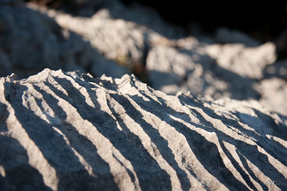 Rainure superficielle creusée par les eaux en terrain calcaire