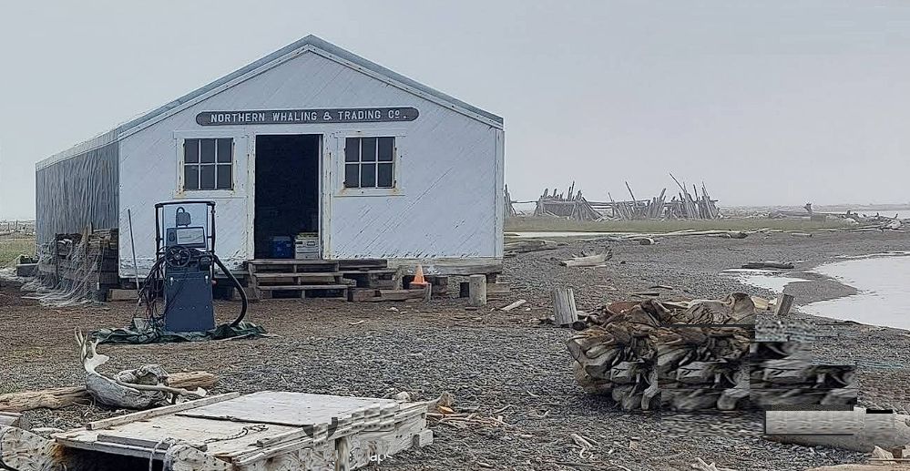 A lonely hut at the arctic ocena shore with a sign: Northern Whaling & Trading Co.