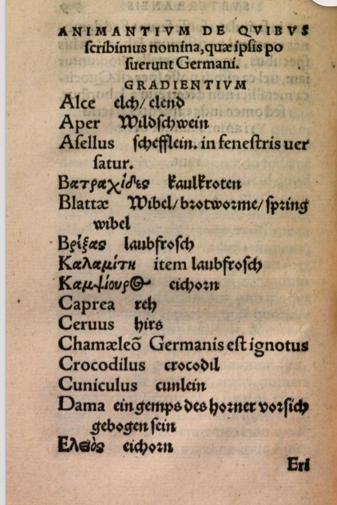 A  Latin German glossar on animals related to mining