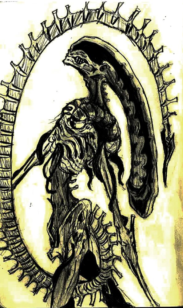 Pencil sketch of a xenomorph