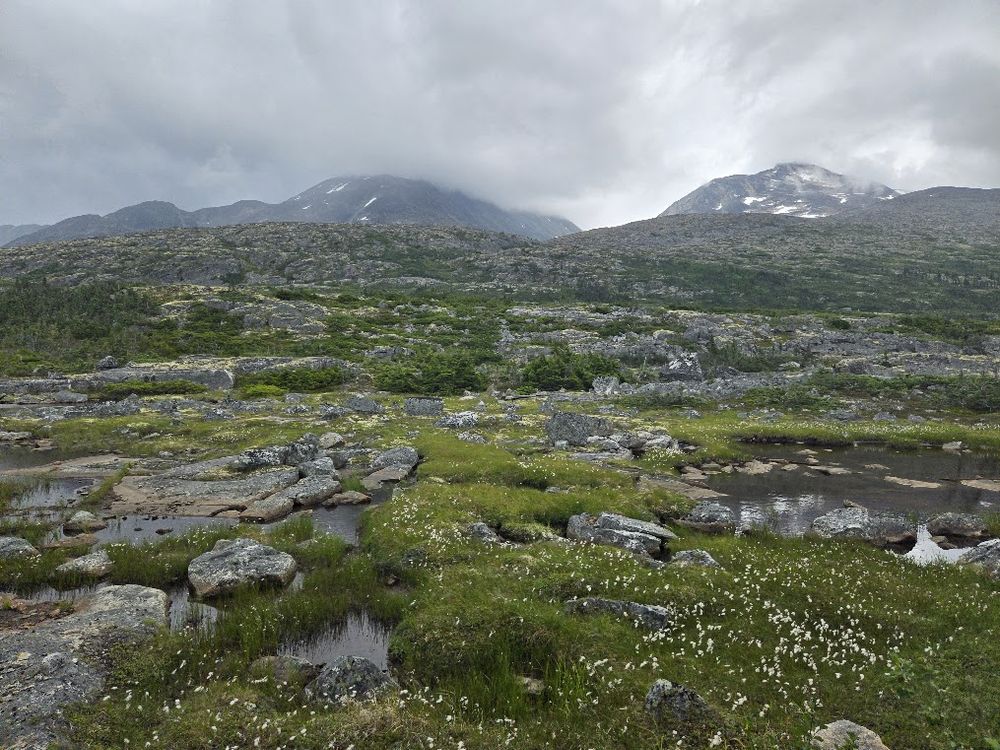 Small glacial ponds with a mountain back drop