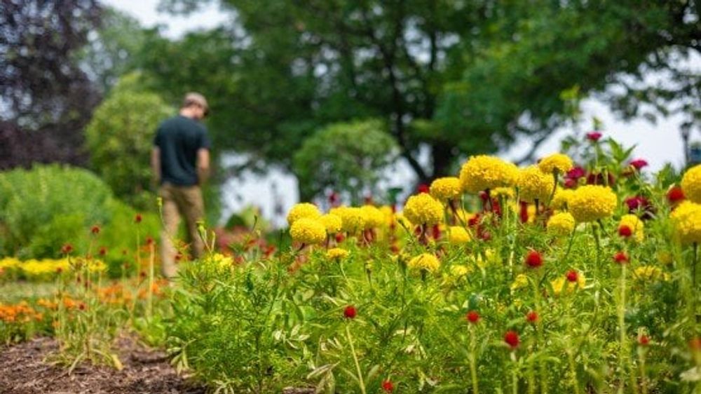 Eine neue Studie deckt einen biologischen Zusammenhang zwischen Naturgenuss und reduzierten Entzündungswerten auf, was bei der Vorbeugung oder Behandlung chronischer entzündungsbedingter Krankheiten wie Herzerkrankungen und Diabetes helfen könnte.