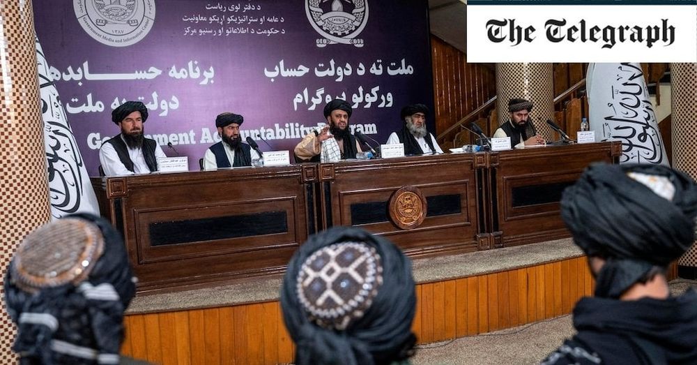 Die afghanischen Taliban verbieten alle Bilder von Lebewesen