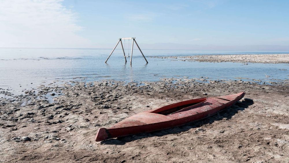 Am Saltonsee: Entdeckung des Verursachers einer Lungenerkrankung