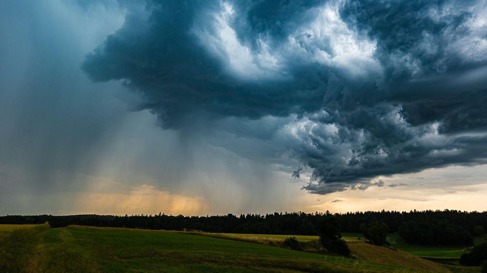 "Methode Trump"? Bayern schafft Klimabericht ab - Bytes Deutschland
